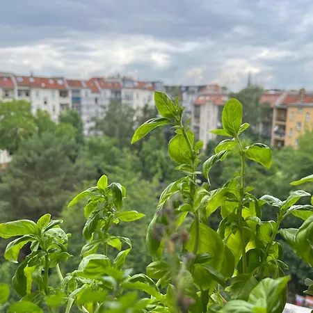 Nach Oben Fuer Zwei * Leipzig